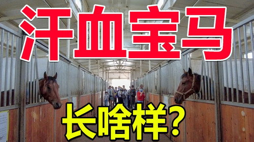 Episode 158
