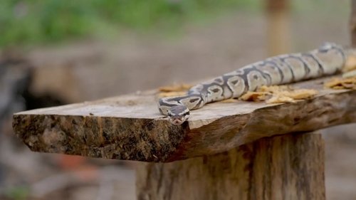 Image de l'épisode 5