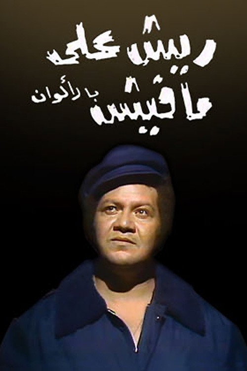 ريش على مافيش