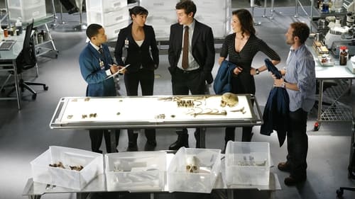 Bones: 4×2