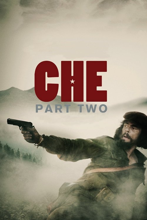 Largescale poster for Che: Part Two