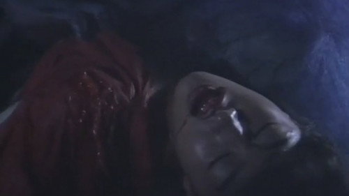 Daikanyama Wonderland Horror