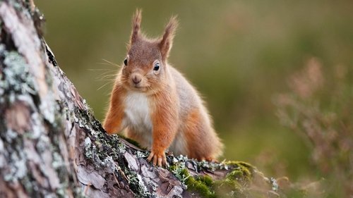 Nature, S41E05 - (2023)