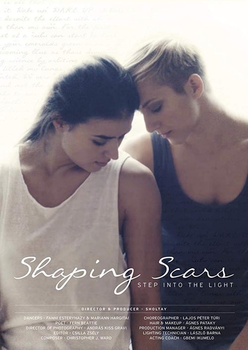 Shaping Scars poster