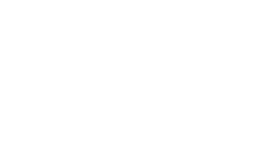 Bashar Shorts