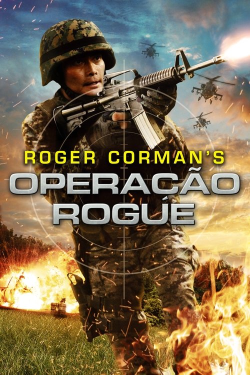 Pôster de Operação Rogue
