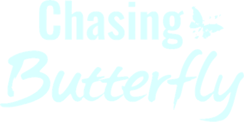 Chasing Butterfly