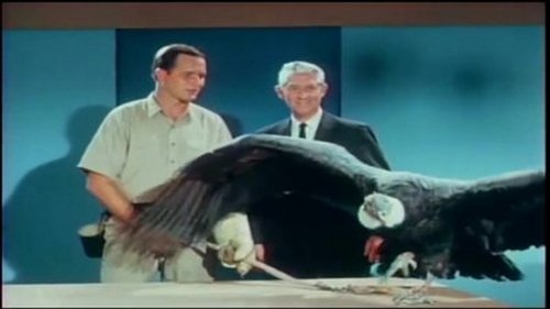 Image de l'épisode 2