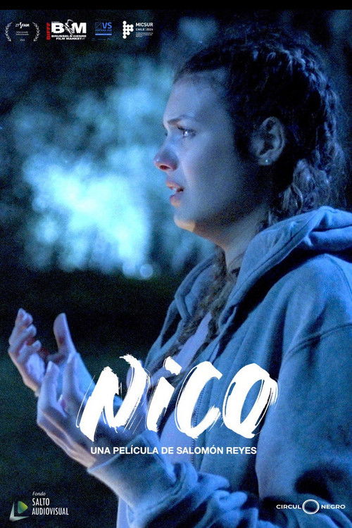 Nico poster