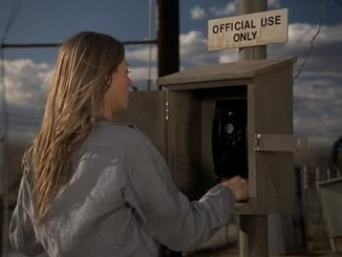 Poster della serie The Bionic Woman