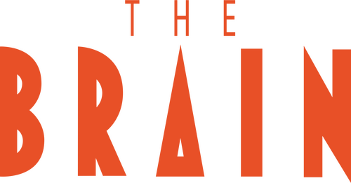 The Brain