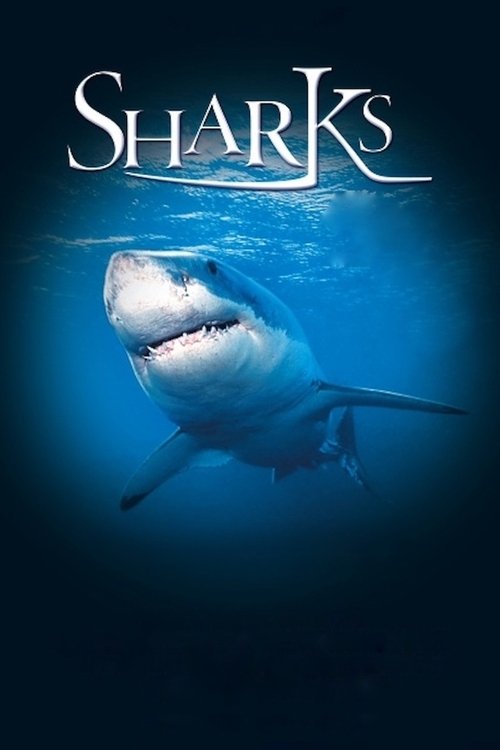 Sharks 3D poster
