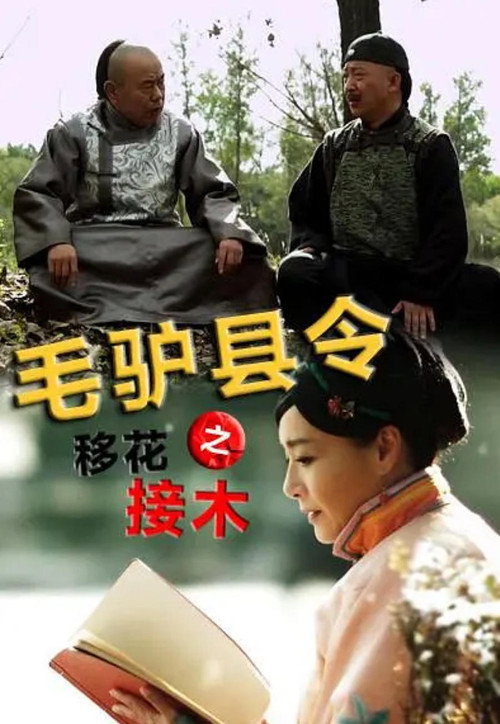 Affiche de 毛驴县令之移花接木