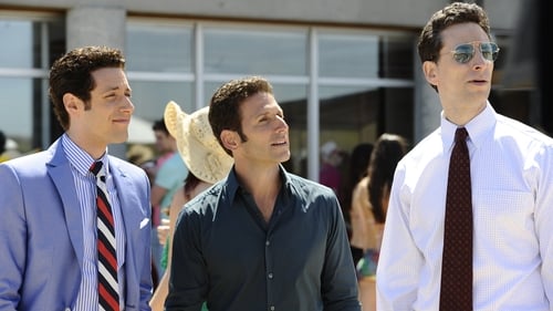 Poster della serie Royal Pains