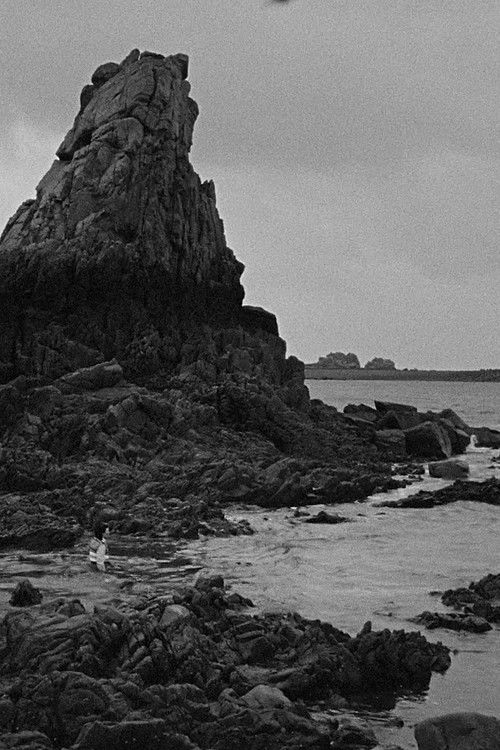 Algues noires Poster