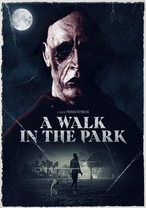 A Walk in the Park (2022) poster