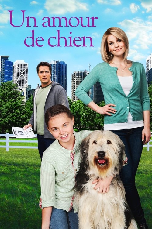 Poster image du film Un amour de chien Un amour de chien