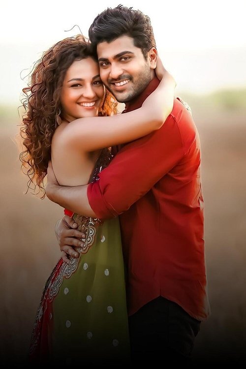Run Raja Run poster
