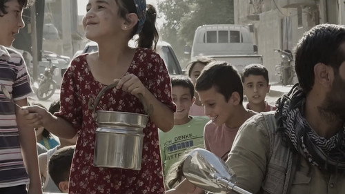 When the Seedlings Grow