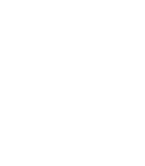 The Maus
