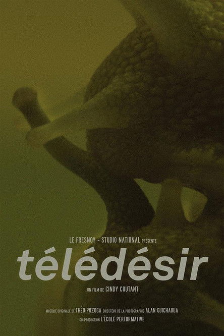 Télédésir