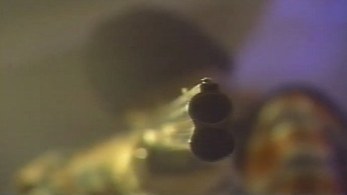 Sensual Forest Beauty