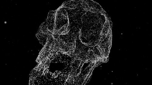 Hominins Backdrop Blur