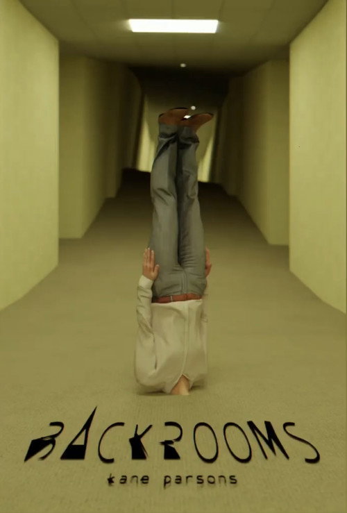 The Backrooms - Found Footage #3