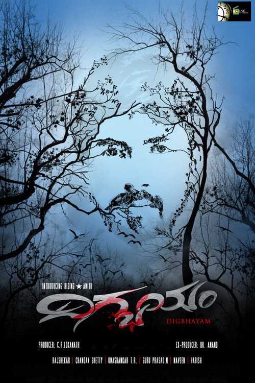 Digbhayam poster