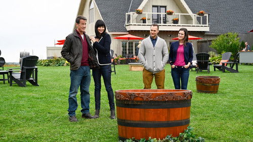 A Bruxa do Bem: 5×3