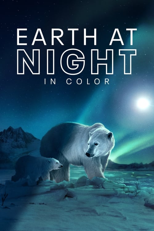 Earth at Night in Color poster