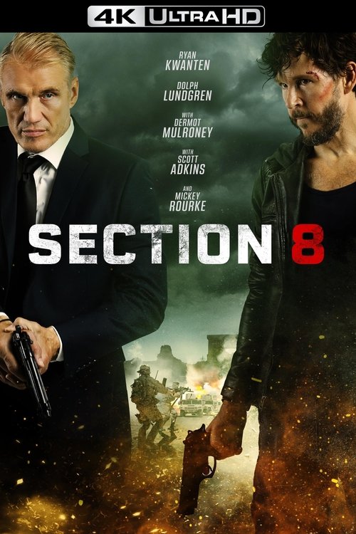 Section 8 poster