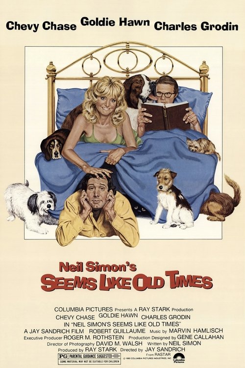 Seems Like Old Times poster