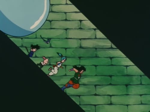 Dragon Ball: 1×11