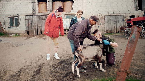 Jaquette Miasto Wieś