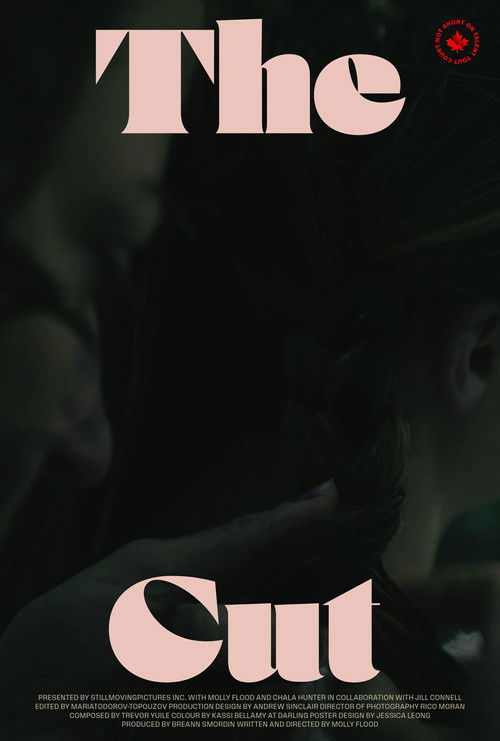 Affiche du film The Cut