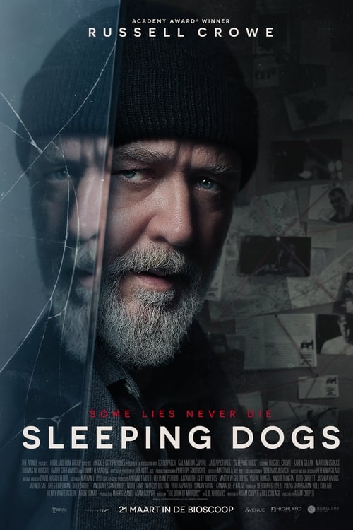 Sleeping Dogs (2024) poster