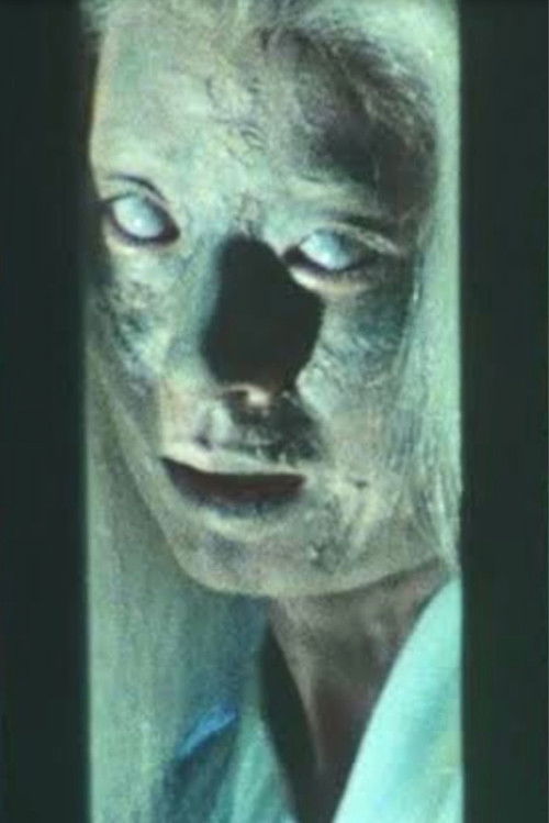 Kyoto Yokai Map 1: A 900-Year-Old New Bride Living in Sagano poster