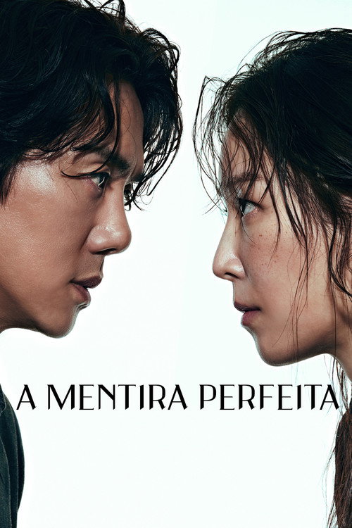 Pôster de A Mentira Perfeita