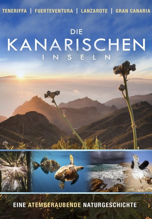 Die Kanarischen Inseln 2016