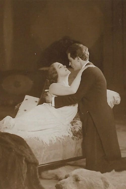 Poster Gräfin Donelli 1924