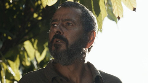 Episódio 186