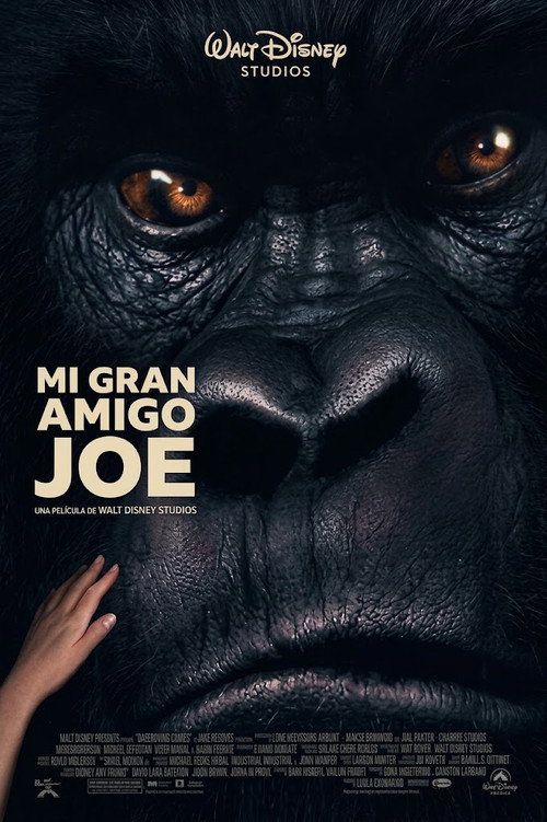 Mi gran amigo Joe