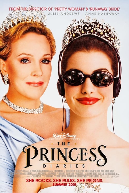 Grootschalige poster van The Princess Diaries