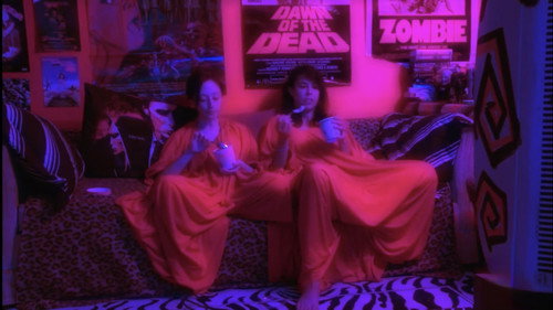 Video Diary of a Lost Girl