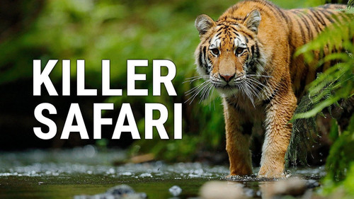 Killer Safari