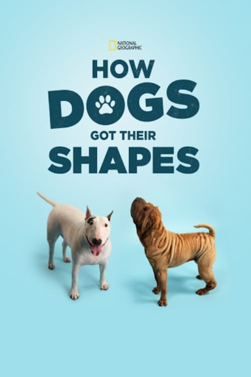 How Dogs Got Their Shapes 2016