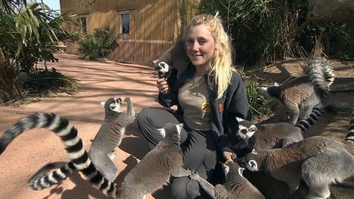 Poster della serie Une saison au zoo