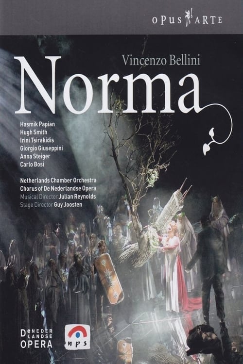 Vincenzo Bellini - Norma (De Nederlandse Opera) (2005) poster