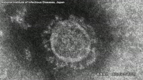 COVID-19: Fighting a Pandemic